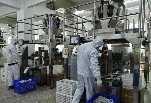創二代攜手，從燈箱布到休閑食品帝國的轉型之路